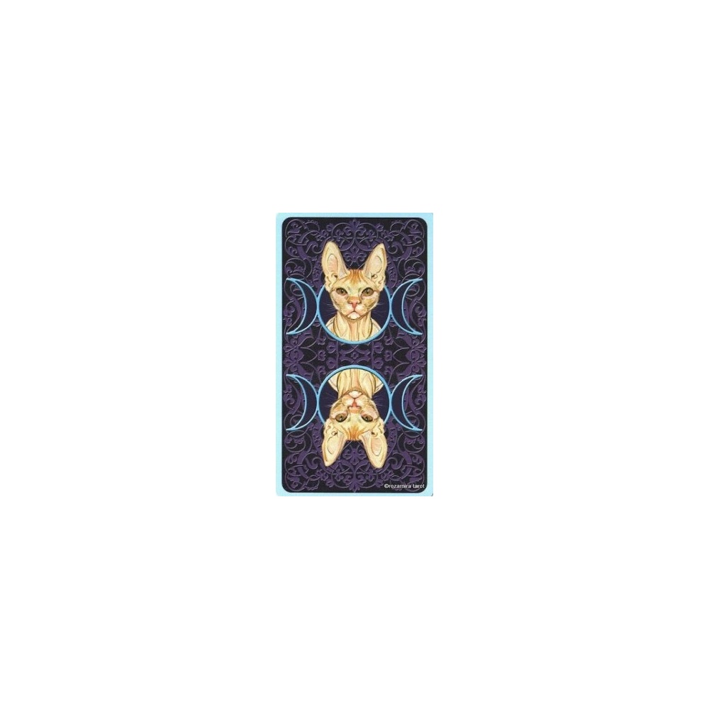 aifz1ieng-hsxhxpzk6v