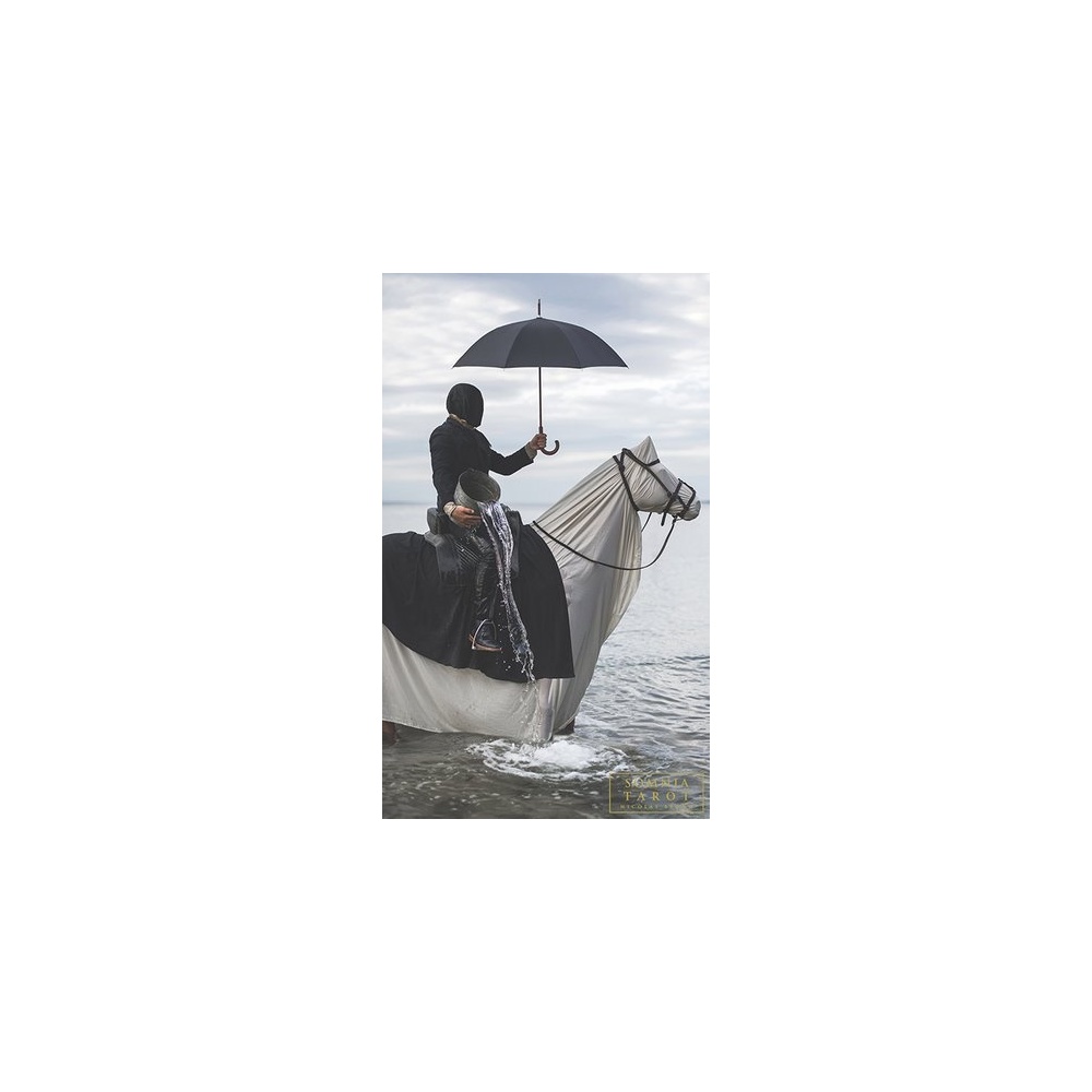 cups_12_knight_of_cups_hires_jpg_lowres